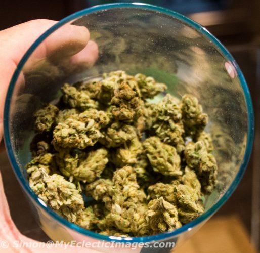 A Jar of Cannabis Buds at the Cannabis Management Company Store in Longmont