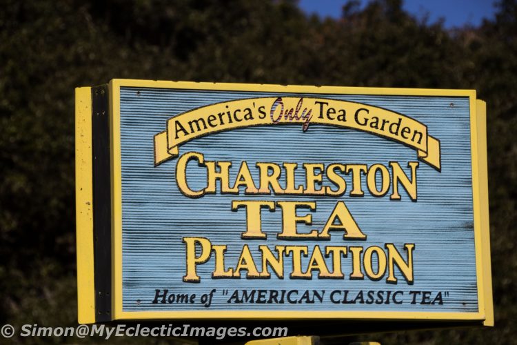 [Weekly WOW #071] Charleston Tea Plantation: